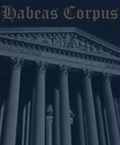 New York Criminal Appeals: Felony Convictions